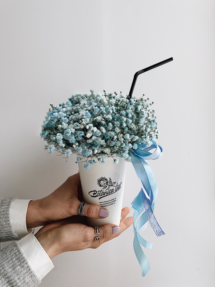 Гипсофила в стаканчике #1 - купить цветы в Воронеже по отличной цене снедорогой доставкой в цветочном магазине BotanicaLab